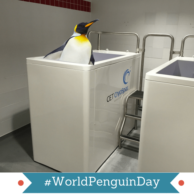 World Penguin Day
